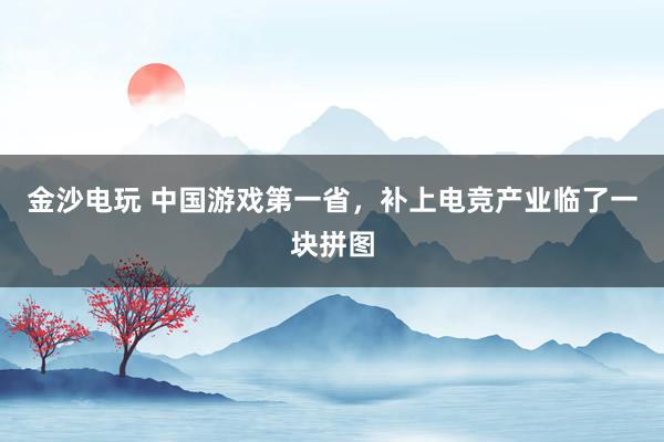 金沙电玩 中国游戏第一省，补上电竞产业临了一块拼图