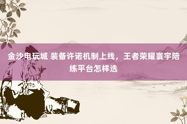 金沙电玩城 装备许诺机制上线，王者荣耀寰宇陪练平台怎样选