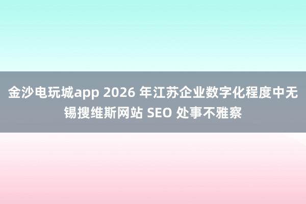金沙电玩城app 2026 年江苏企业数字化程度中无锡搜维斯网站 SEO 处事不雅察