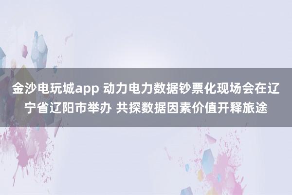 金沙电玩城app 动力电力数据钞票化现场会在辽宁省辽阳市举办 共探数据因素价值开释旅途