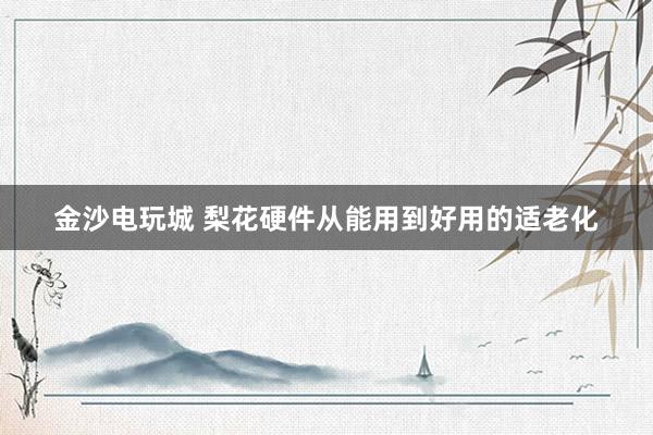 金沙电玩城 梨花硬件从能用到好用的适老化