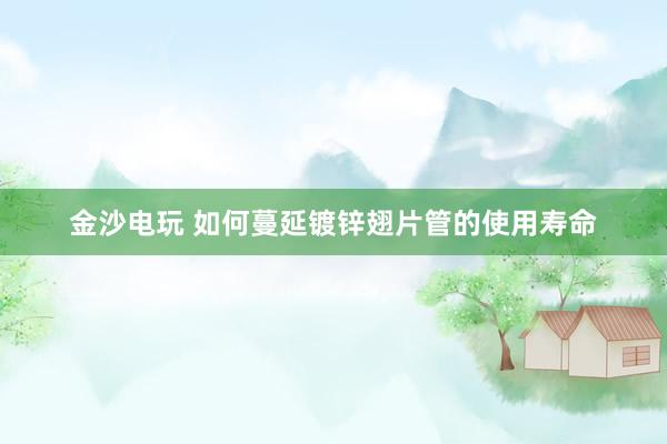 金沙电玩 如何蔓延镀锌翅片管的使用寿命