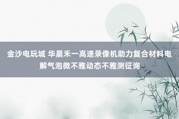 金沙电玩城 华晨禾一高速录像机助力复合材料电解气泡微不雅动态不雅测征询