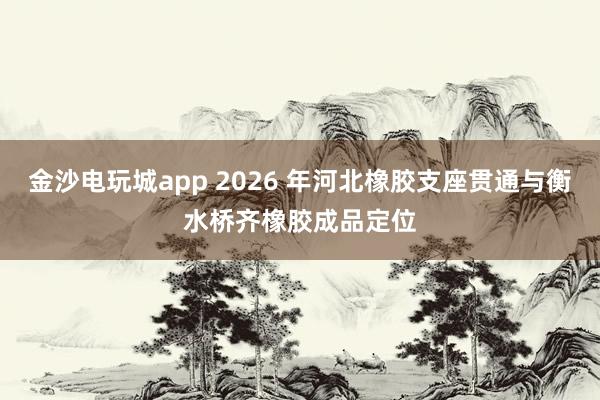金沙电玩城app 2026 年河北橡胶支座贯通与衡水桥齐橡胶成品定位