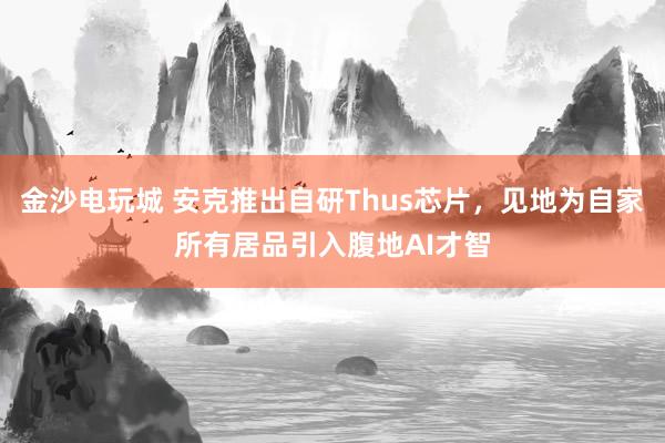 金沙电玩城 安克推出自研Thus芯片，见地为自家所有居品引入腹地AI才智