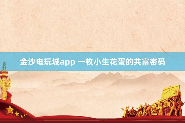 金沙电玩城app 一枚小生花蛋的共富密码