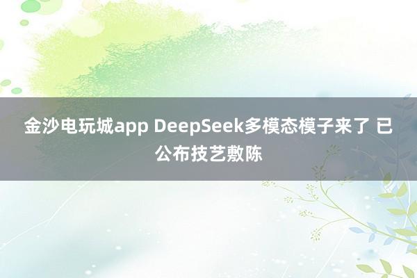 金沙电玩城app DeepSeek多模态模子来了 已公布技艺敷陈
