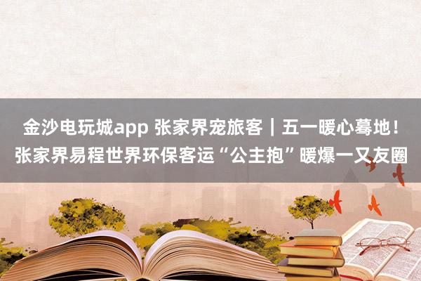 金沙电玩城app 张家界宠旅客｜五一暖心蓦地！张家界易程世界环保客运“公主抱”暖爆一又友圈